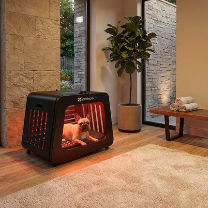 Small Pet Red Light Capsule
