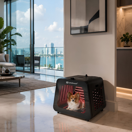 Small Pet Red Light Capsule